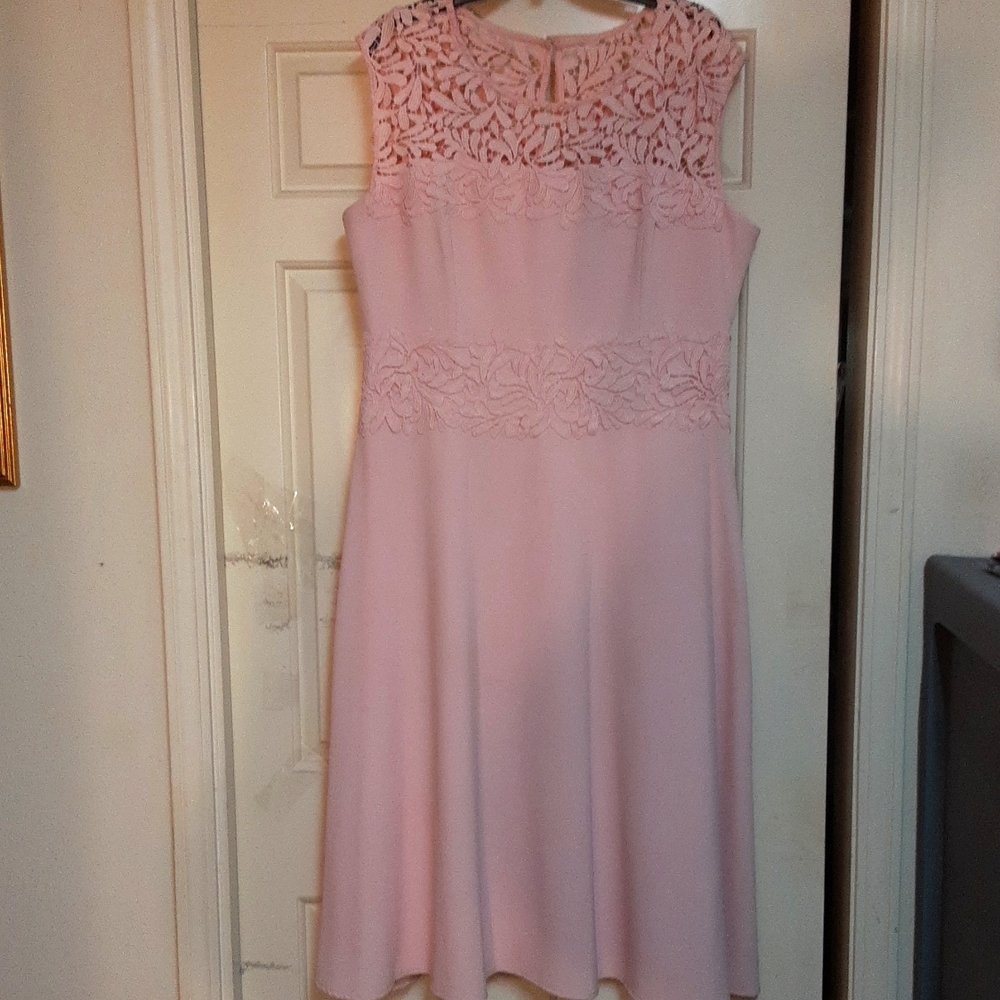 Princess Light Pink Flared Bottom Dress.